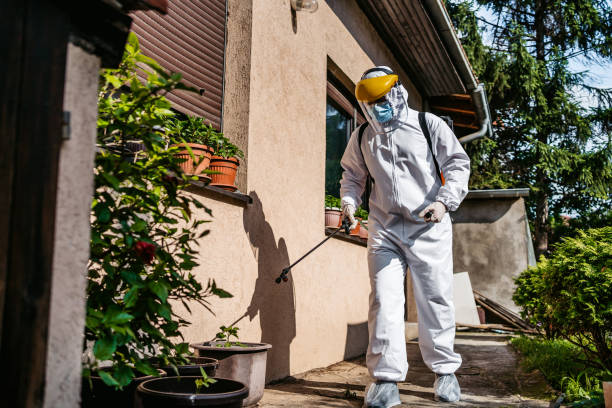  Wrangell, AK Pest Control Pros