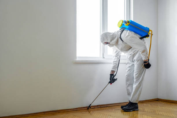 Best Best Pest Control Companies  in Wrangell, AK