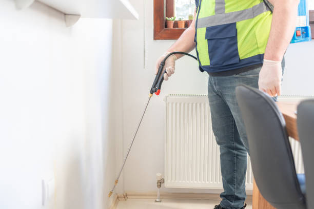 Best Local Pest Control Services  in Wrangell, AK