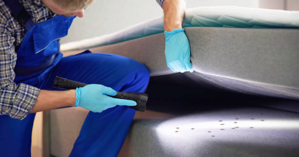 Best Rat Extermination Near Me  in Wrangell, AK