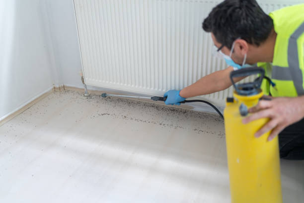 Best Cockroach Control Services  in Wrangell, AK
